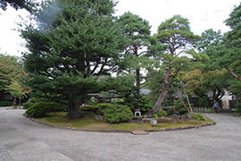 成巽閣