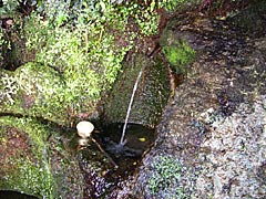 山中温泉の桂清水の画像