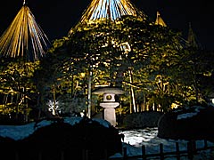 兼六園の冬のライトアップの画像