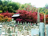 京都の化野念仏寺の紅葉の画像