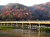 京都の嵐山周辺の紅葉の画像