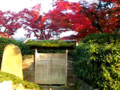 嵐山近辺の紅葉の画像