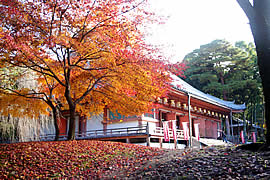 醍醐寺の紅葉の画像
