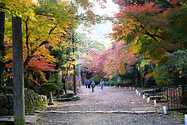 醍醐寺の紅葉の画像