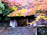 京都の法然院の紅葉の画像