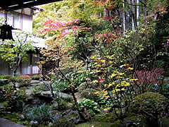 宝泉院の京都の画像