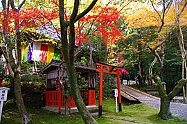 今熊野観音寺の紅葉の画像