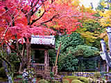 京都の寂光院の紅葉の画像