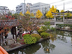 神泉苑庭園の紅葉の画像