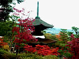 京都の常寂光寺の紅葉の画像
