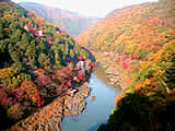 京都の嵐山亀山公園の紅葉の画像