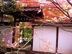 金福寺の紅葉の画像