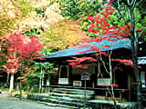 京都の高山寺の紅葉の画像