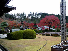 三室戸寺の紅葉の画像