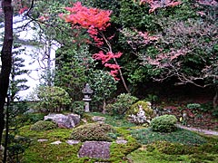 南禅寺方丈の紅葉の画像
