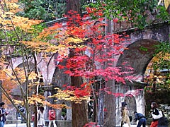 南禅寺境内の紅葉の画像