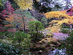 南禅寺の南禅院の紅葉の画像