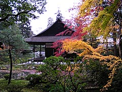 南禅寺の南禅院の紅葉の画像