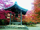 京都の西明寺の紅葉の画像