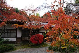 赤山禅院の紅葉の画像