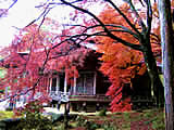 京都の勝林院の紅葉の画像