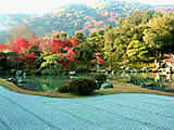 京都の天龍寺の紅葉の画像