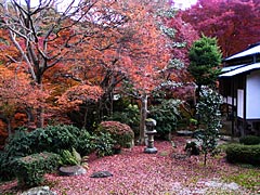 東福寺の方丈庭園の紅葉の画像