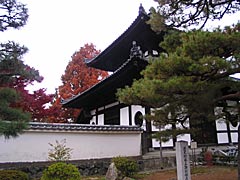 東福寺の紅葉の画像