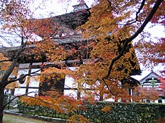 東福寺の通天橋の紅葉の画像