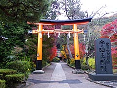 宇治神社の紅葉の画像