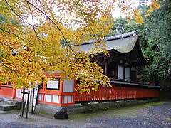 宇治神社の紅葉の画像