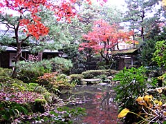 西田家庭園「玉泉園」の紅葉の画像