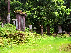 野田山墓地の画像