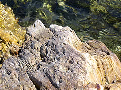 赤崎海岸の岩礁の画像