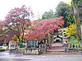 天日陰比咩神社 能登國二宮の画像