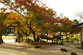 天日陰比咩神社 能登國二宮の画像