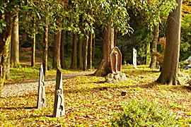 天日陰比咩神社 能登國二宮の画像