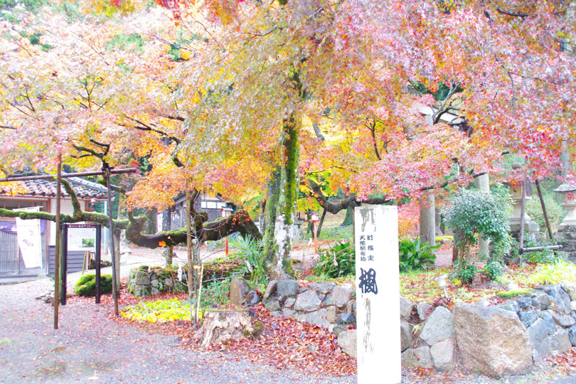 天日陰比咩神社 能登國二宮の画像