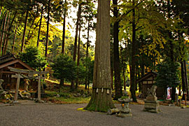 天日陰比咩神社 能登國二宮の画像