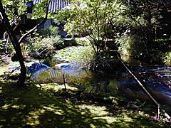 アテの元祖　泉家の庭の画像