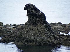 ゴジラ岩の画像