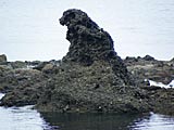ゴジラ岩と木の浦海岸の画像