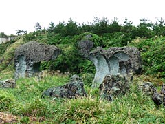 仁江海岸　帆立岩の画像