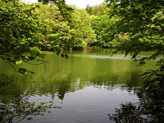 宝達山の夫婦池（雌池）の画像