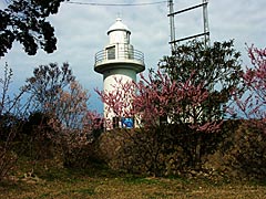 観音埼灯台の画像