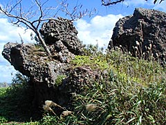 輪島エコロジーキャンプ場の奇石広場の画像