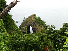 黒崎岬の画像
