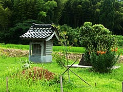 松尾神社の画像