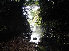 赤蔵山御手洗池の画像
