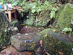 赤蔵山御手洗池の名水の画像